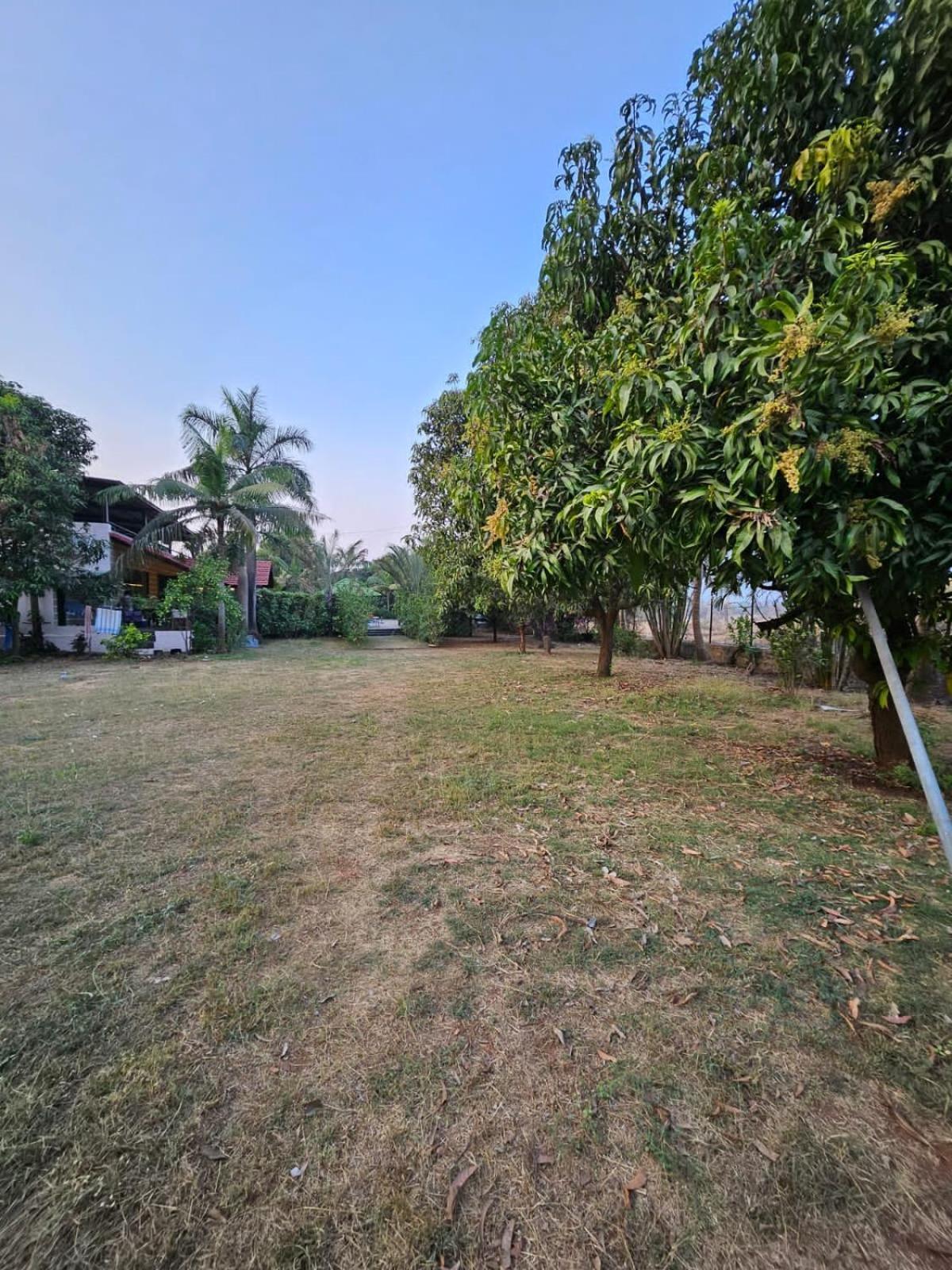 نافي مومباي Patil'S Greenwoods Farmhouse المظهر الخارجي الصورة
